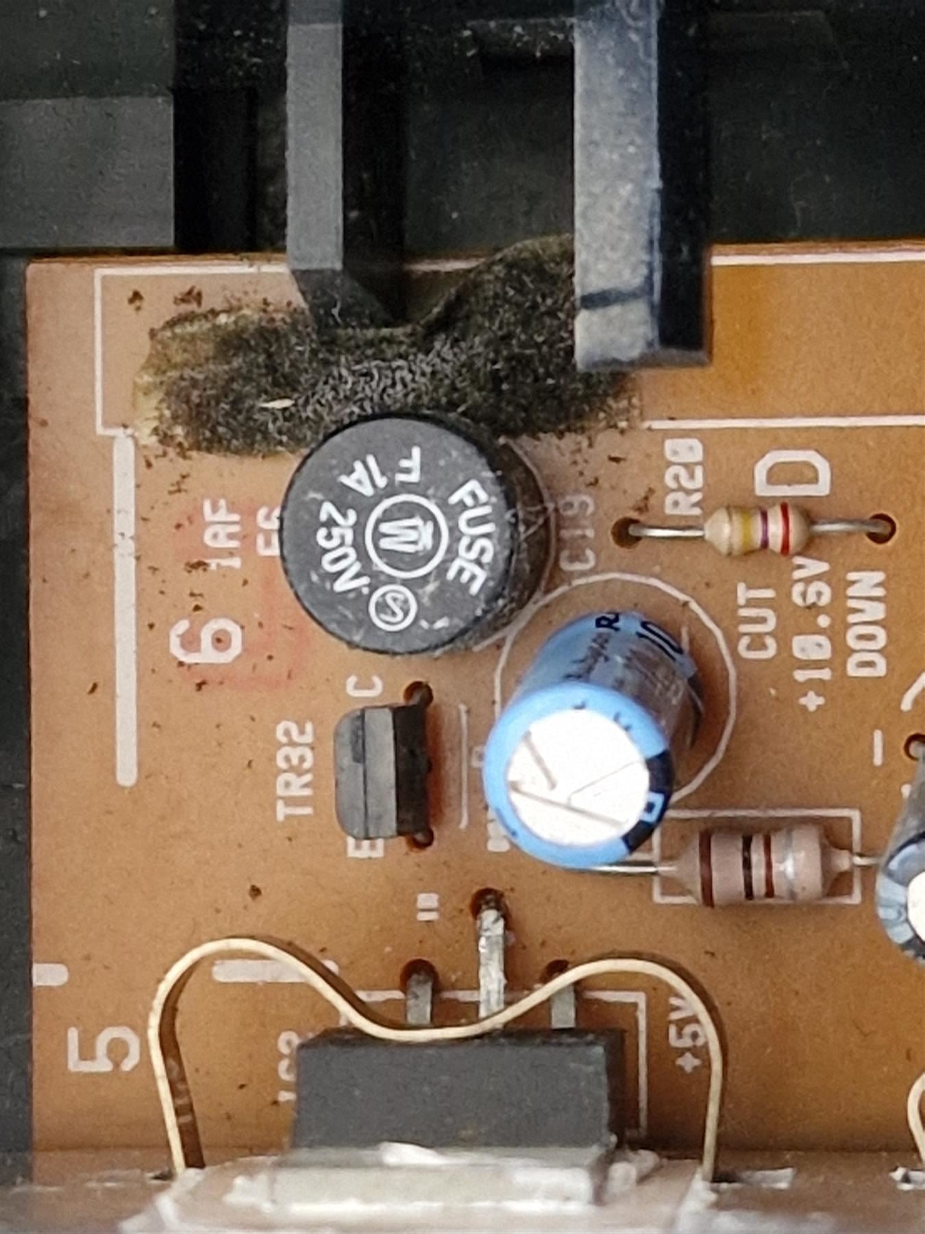 Fusible 1.0A pour B&O Beosound Century